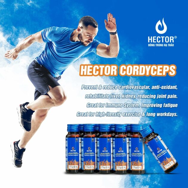 Hector Cordyceps Drink Benefit