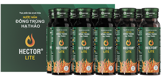 Hector Lite Cordyceps drink